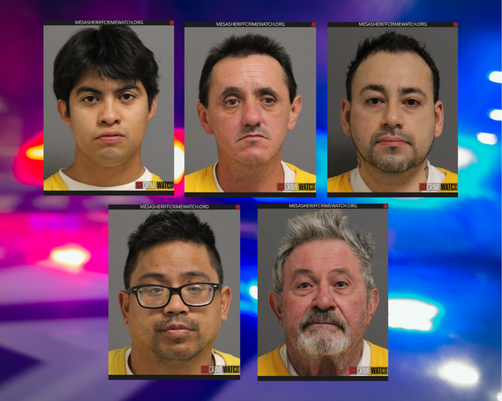 Cinco arrestados en operativo encubierto contra presuntos depredadores sexuales en el Condado Mesa