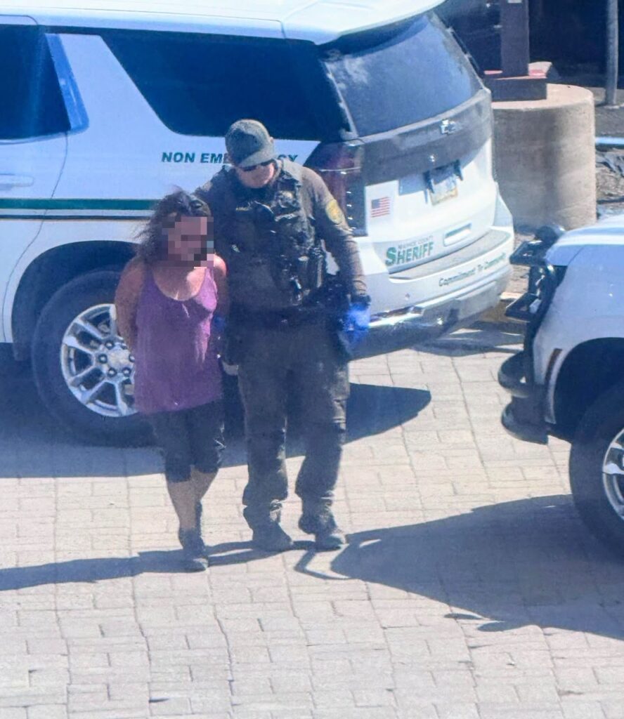 Arresto por incendio: mujer de 47 años confiesa haber provocado fuego forestal en Nevada