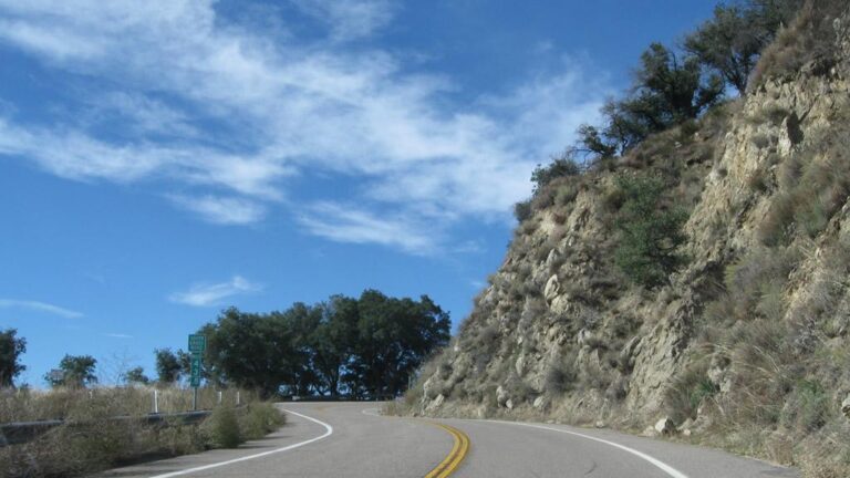 Encuentran restos humanos cerca de Palomar Mountain; investigan identidad y causa de muerte