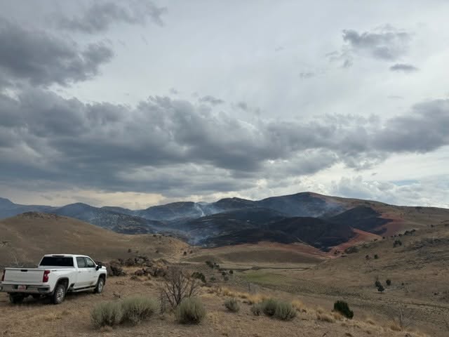 Incendios en Nevada: 2 focos masivos devoran más de 129,000 acres al norte de Reno