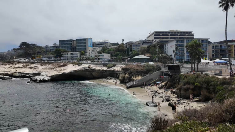 En debate el futuro de La Jolla Cove ante llamados a proteger a los leones marinos