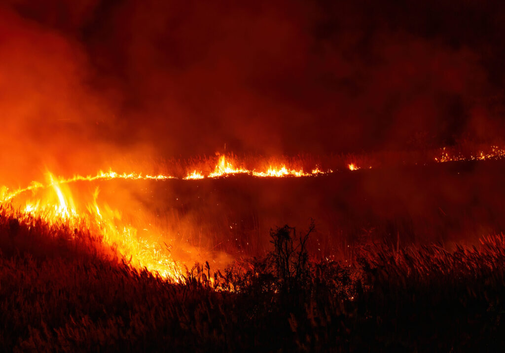 Timber Fire supera las 6 mil acres y mantiene activa la zona este de Big Sur