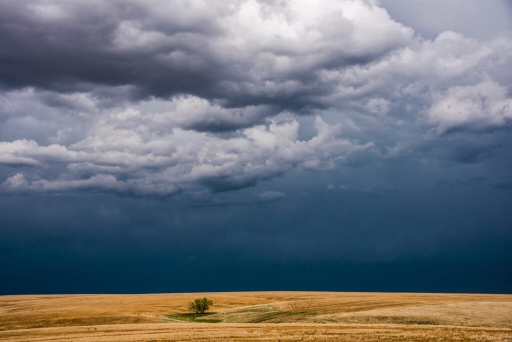 Más humedad y tormentas en Colorado: ¿qué podemos esperar esta semana?