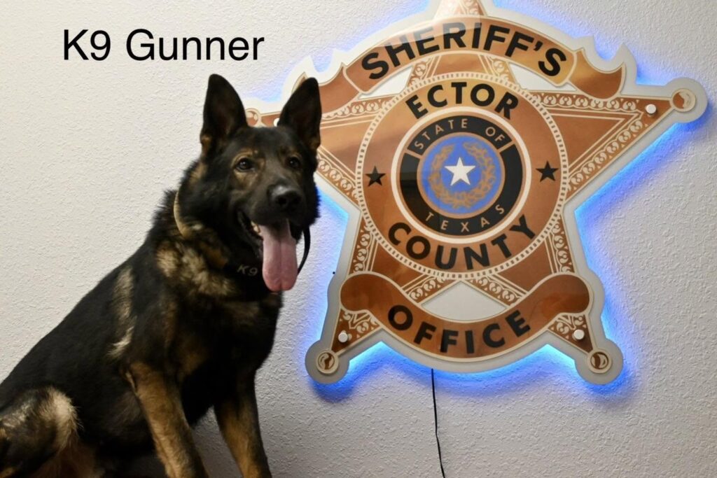 La Oficina del Alguacil del Condado de Ector da la bienvenida a “Gunner”, su nuevo integrante K-9
