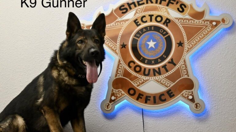 La Oficina del Alguacil del Condado de Ector da la bienvenida a “Gunner”, su nuevo integrante K-9