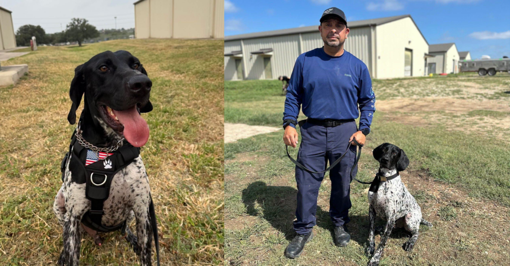 Odi, el nuevo perro detector de bombas que se suma a la Policía y al Aeropuerto
