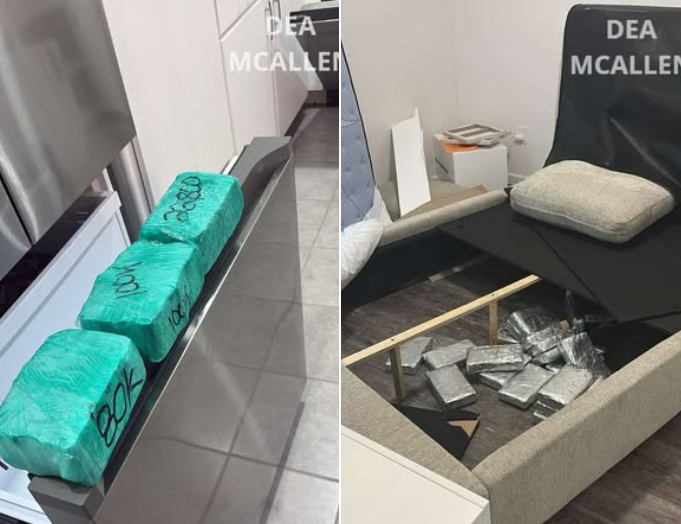 Autoridades decomisan más de $700 mil en efectivo y más de 80 libras de cocaína