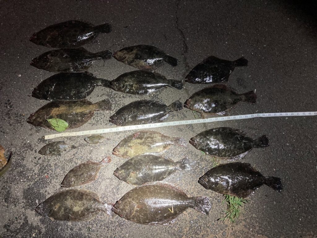 Arrestan a dos personas por presunta pesca comercial ilegal en Connecticut