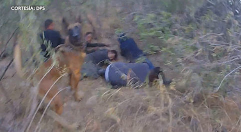 Agentes caninos de DPS apoyan en operativos y rescates en áreas rurales
