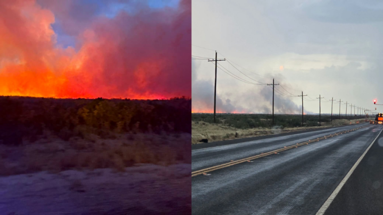 Contienen y extinguen dos incendios forestales de gran magnitud en el condado de Winkler