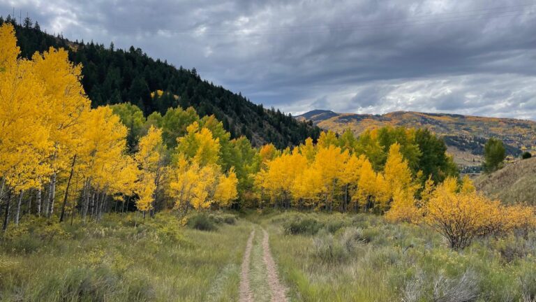 ¿Otoño adelantado? La sequía puede cambiar los colores de Colorado este año