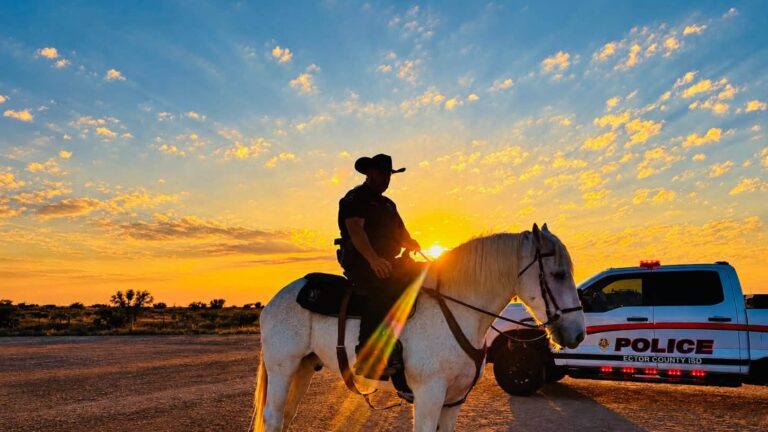 Fallece Maximus, emblemático caballo de la Unidad de Policía Montada del Distrito Escolar de Ector