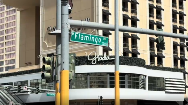 Atropello trágico: peatón en estado crítico tras ser arrollado en Flamingo Road