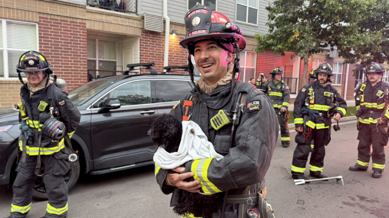 GALERÍA: Incendio en apartamento deja una persona hospitalizada y dos perros rescatados en Belmar