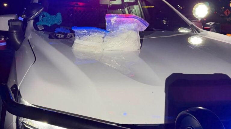 Decomiso masivo: la fuerza de tarea de Nevada asesta un duro golpe al tráfico de drogas en la ruta I-80