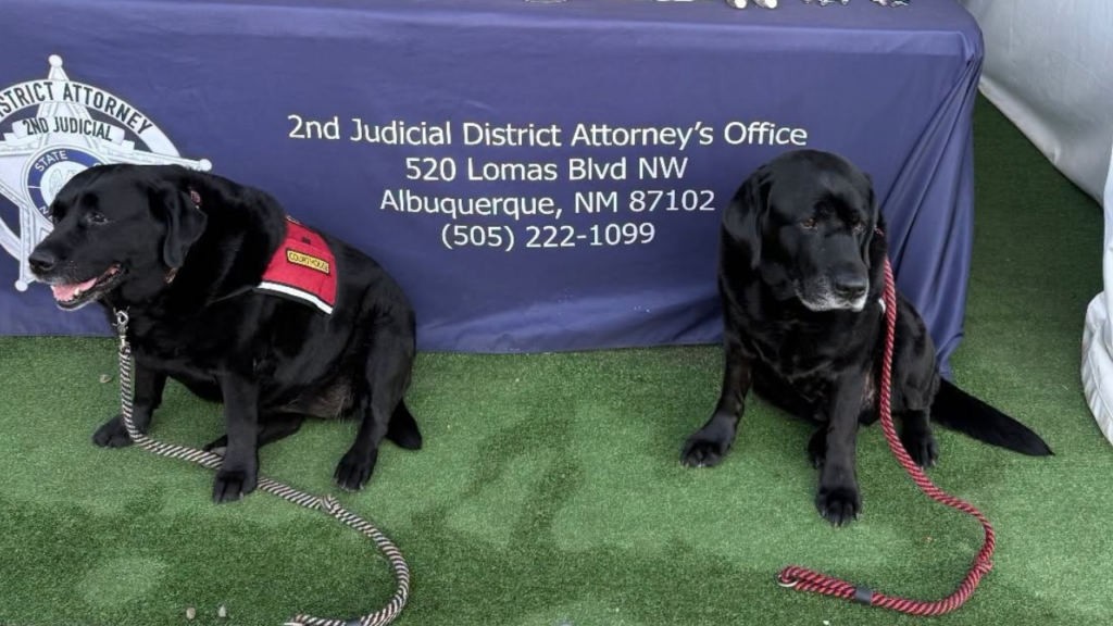 Los perritos de apoyo del Distrito de Bernalillo invitan a la comunidad al Balloon Fiesta de Albuquerque