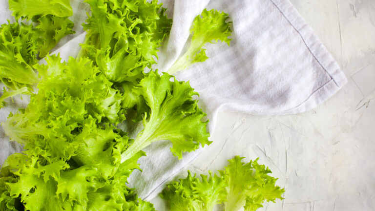 FDA encuentra nuevas pruebas que vinculan lechuga de Taylor Farms con brote de Cyclospora