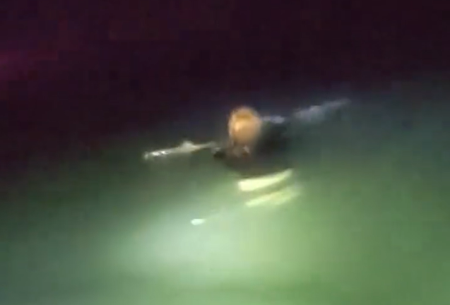 VIDEO: Policías de Aurora rescatan a niña con autismo que tenía dificultades para mantenerse a flote en un lago