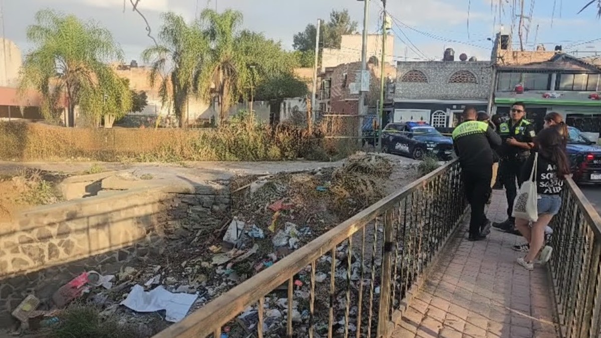 Madres Buscadoras en Tonalá: Localizan Cráneo y Restos Humanos