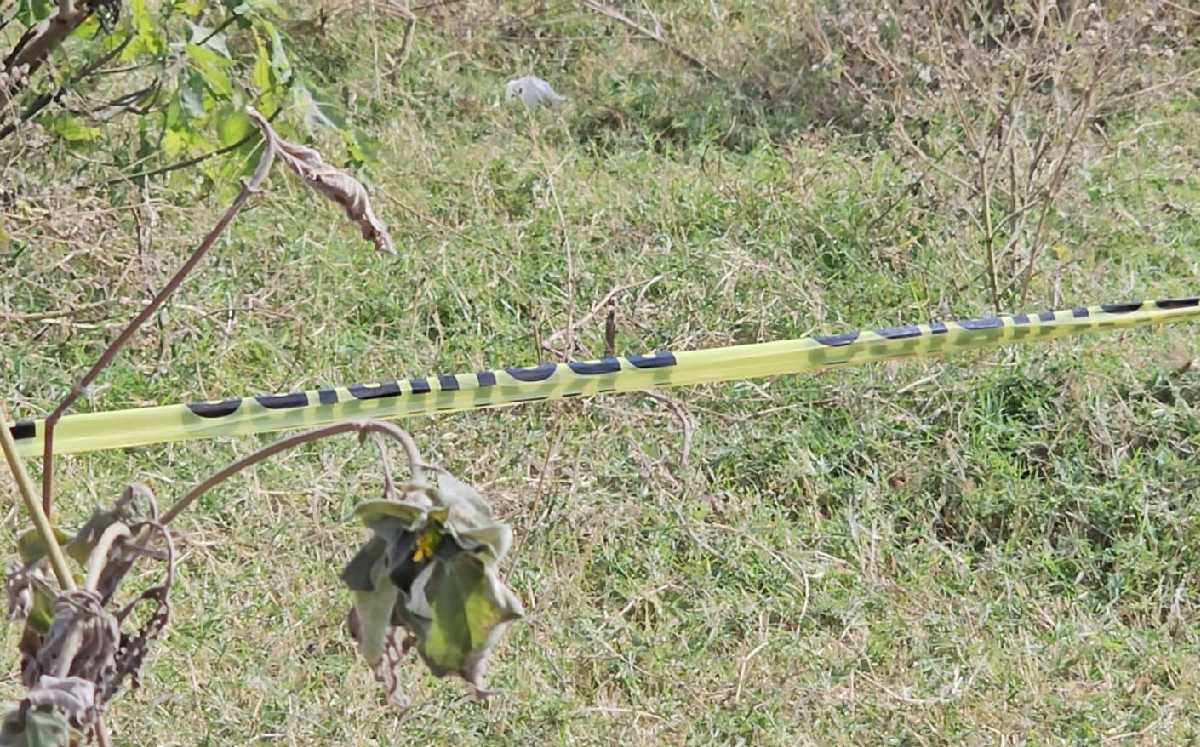 Descubren Restos Humanos en Fosa Clandestina de Tlajomulco: Continúa la Investigación