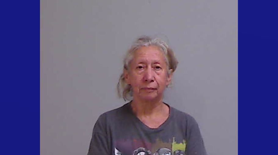 Mujer de 71 años arrestada en Mission tras hallazgo de perros muertos y más de 40 rescatados