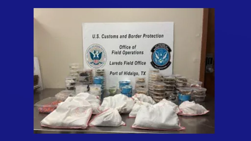 CBP decomisa más de 160 especies de reptiles y arácnidos en puente internacional Anzaldúas