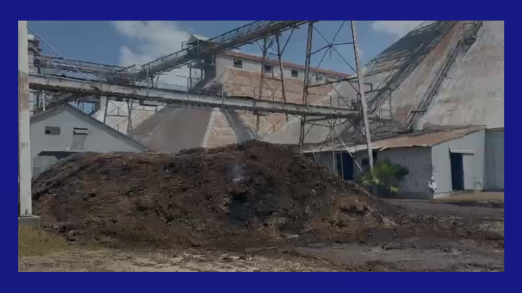 Incendio persistente afecta molino de algodón en Harlingen