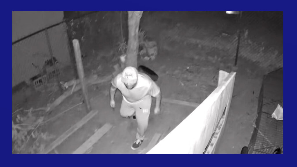 Policía de Brownsville busca identificar a sujeto relacionado con robo de gallos