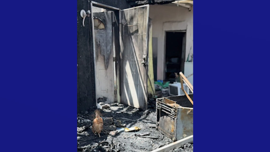 Incendio consume por completo vivienda en las afueras de Álamo; no se reportan heridos