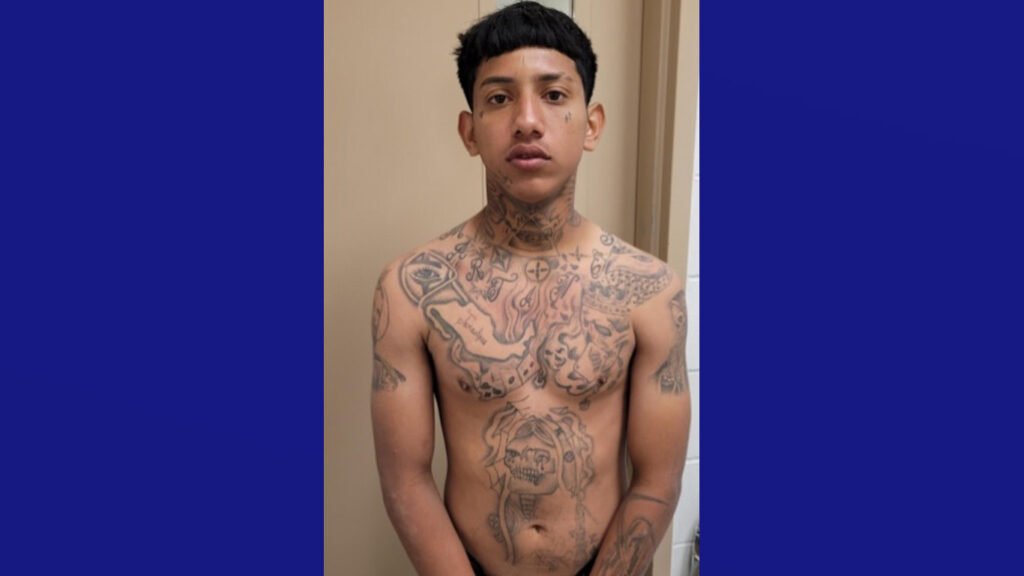 Detienen a pandillero recientemente deportado con 48 libras de marihuana en el sur de Texas