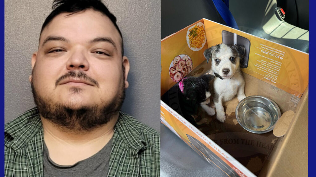 Detienen a hombre en Brownsville por dejar a dos cachorros dentro de un auto caliente