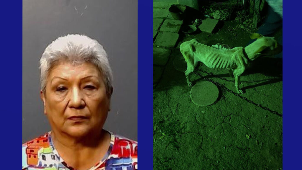 Detienen a mujer de Brownsville por crueldad animal