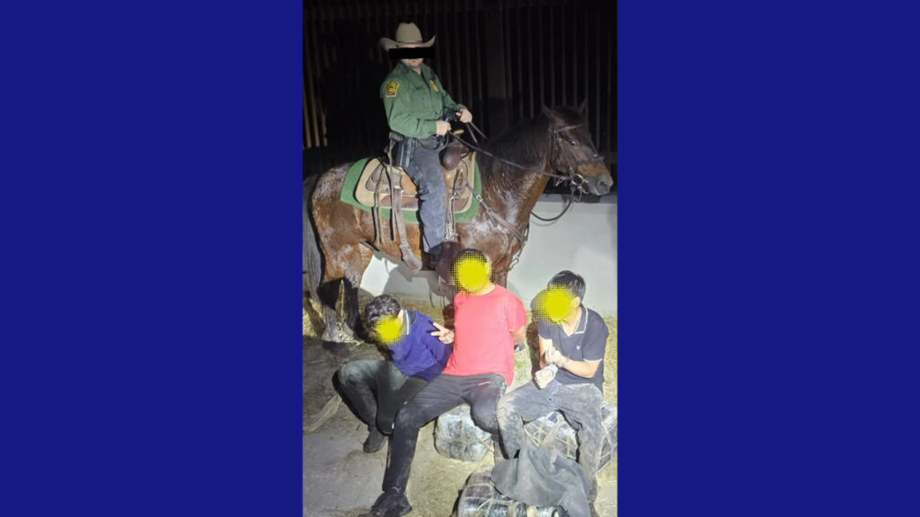 Patrulla Fronteriza decomisa 89 libras de marihuana en Brownsville con apoyo de unidades K9 y montada