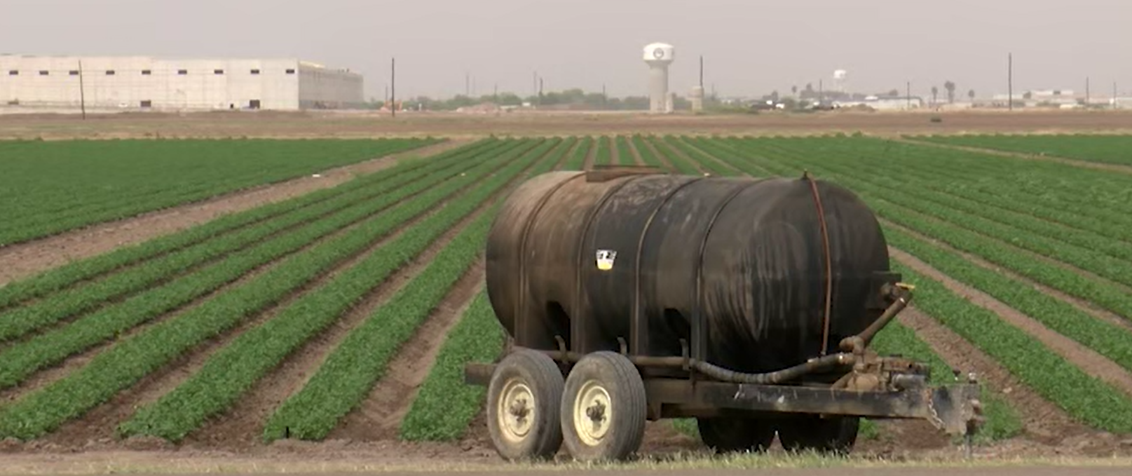 Anuncian 280 millones de dólares en apoyo a agricultores del sur de Texas