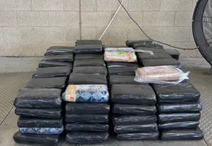 CBP incauta 470 libras de cocaína en el Puente Internacional de Pharr