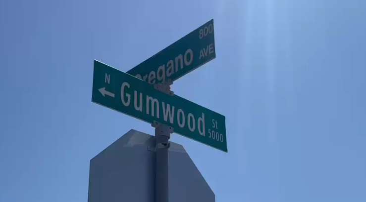 Hombre arrestado en Pharr tras un reporte por disparos