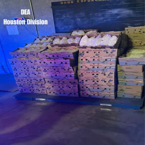 Decomisan metanfetamina oculta en palés de arándanos en Pharr